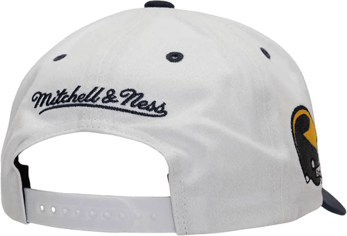 Mitchell & Ness Mitchell and Ness NCAA Michigan Wolverines Tail Sweep Pro Gorra Azul — photo 2