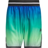 adidas Crazy Lite AOP Pantalones cortos Verde