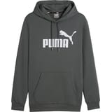 PUMA Essentials Big Logo Hoody Gris C069