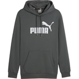 PUMA Essentials Big Logo Hoody Grey C069