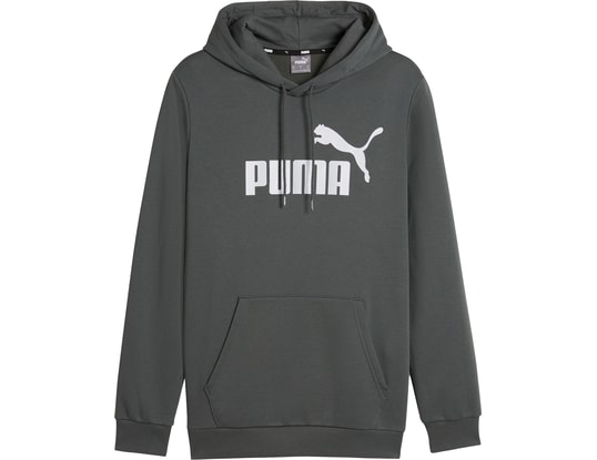 Product gallery, 1 of 6, PUMA Essentials Big Logo Sweatshirt à capuche Gris C069