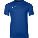 Nike Park VIII Trikot Blau F463