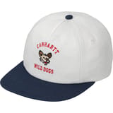 Carhartt WIP Wild Dog Gorra Gris