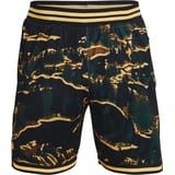 Under Armour Curry Mesh Pantalones cortos negro C001