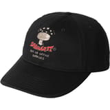 Carhartt WIP Office Supplies Gorra negro