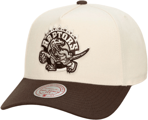 Mitchell & Ness Mitchell and Ness Toronto Raptors Gorra Beige