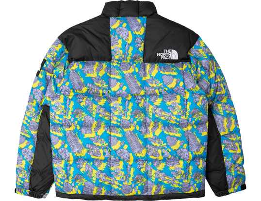 Face multicolor jacket Supreme X The North Face Cargo Jacket