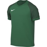 Nike Trophy VI Trikot Grün F302
