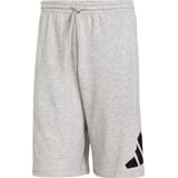 adidas Essentials Big Logo Pantalones cortos Gris