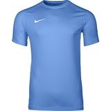 Nike Park VIII Trikot Blau F412