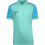 Nike Trophy VI Trikot Kids Grün F354