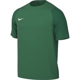 Nike Academy II Trikot Kids Grün F302