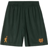Carhartt WIP Win Lock Up Pantalones cortos verde