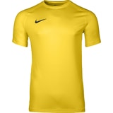 Nike Park VIII Trikot Gelb F719