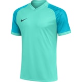 Nike Trophy VI Trikot Grün F354