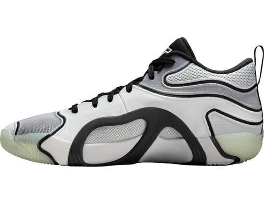 Jordan Tatum 3 Sneaker Grey F001 - €129.95