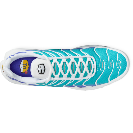 Acquista Nike Air Max Plus per EUR 189.95 su KICKZ