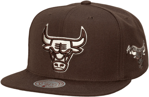 Mitchell & Ness Mitchell and Ness Chicago Bulls Cap Brown