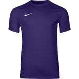 Nike Park VIII Trikot Lila F547