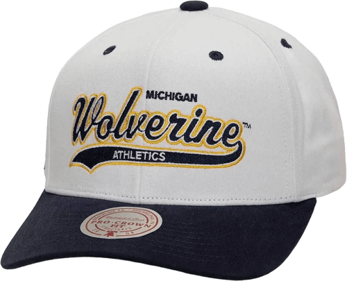 Mitchell & Ness Mitchell and Ness NCAA Michigan Wolverines Tail Sweep Pro Gorra Azul