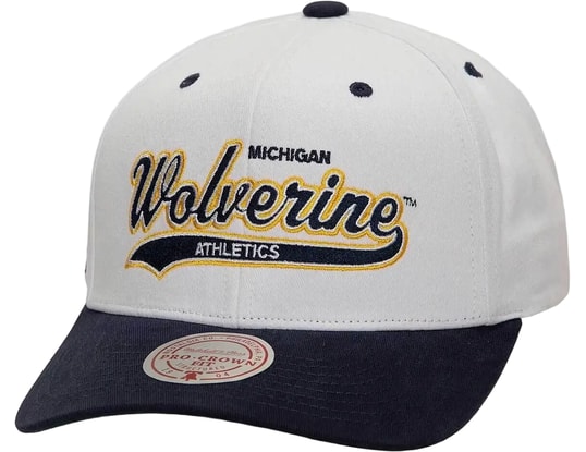 Product gallery, 1 of 8, Mitchell and Ness NCAA Michigan Wolverines Tail Sweep Pro Cap Blue