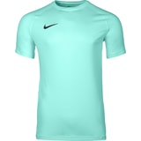 Nike Park VIII Trikot Türkis F354