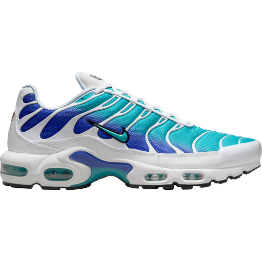Nike Nike Air Max Plus Shoes Sneakers Casual Men