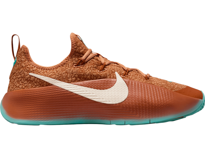 Nike Lebron Tr 1 Better With Age Braun F200