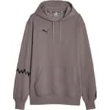 PUMA Hoops Team Hoody Gris C02