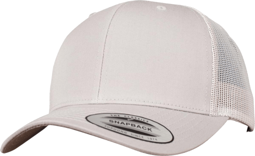 Flexfit Merch Retro Trucker Gorras Plata