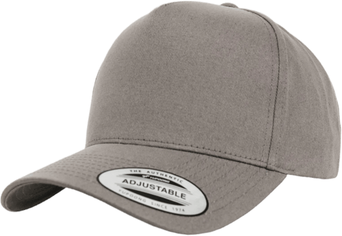 Flexfit Play The Future Curved Cap Grey
