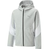 PUMA Chaqueta con capucha Gris C004