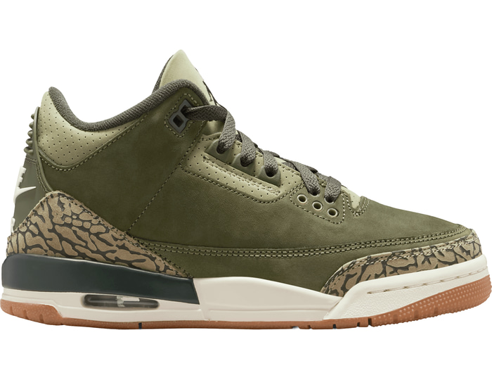 Jordan Air Jordan 3 Retro Family Affair Gs Enfants Vert C202