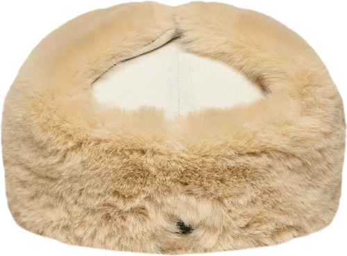 New Era WS DOG 59FIFTY OAKATHCO Gorra Beige — photo 2
