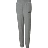 PUMA Pantalones de entrenamiento Gris C003