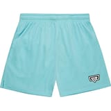 Bucketz All Day Mesh Pantalones cortos Azul