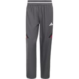 adidas DBB Germany Warm Up pantalones Gris