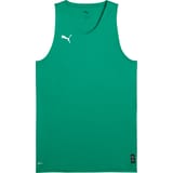 PUMA teamJAWS Starter Camiseta Verde C010