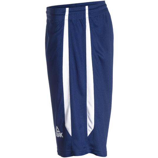 Peak basketball shorts online