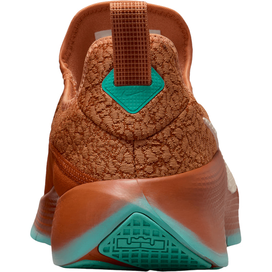 Nike Lebron TR 1 shoe