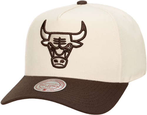Mitchell & Ness Mitchell and Ness Chicago Bulls Gorra Beige