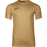 Nike Park VIII Trikot Gold F729