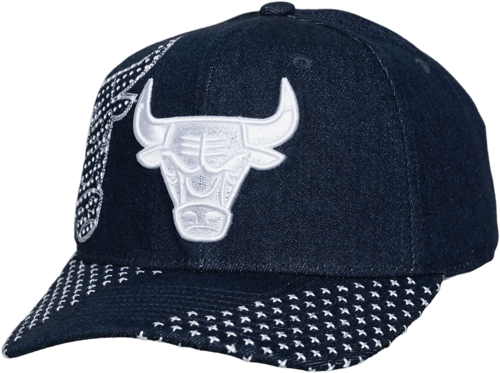 Mitchell & Ness Mitchell and Ness Chicago Bulls Cap Blue
