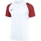 Nike Academy II Trikot Weiß F102