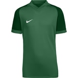 Nike Trophy VI Trikot Kids Grün F302
