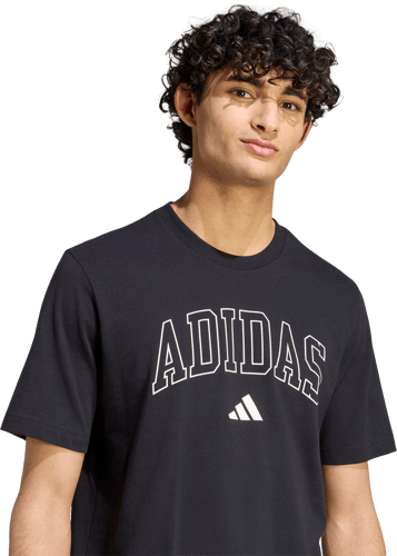 adidas Collegiate Lineage Graphic — foto 4