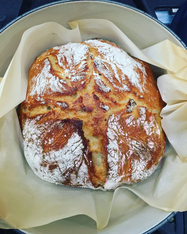 Perry C's gallery image 3