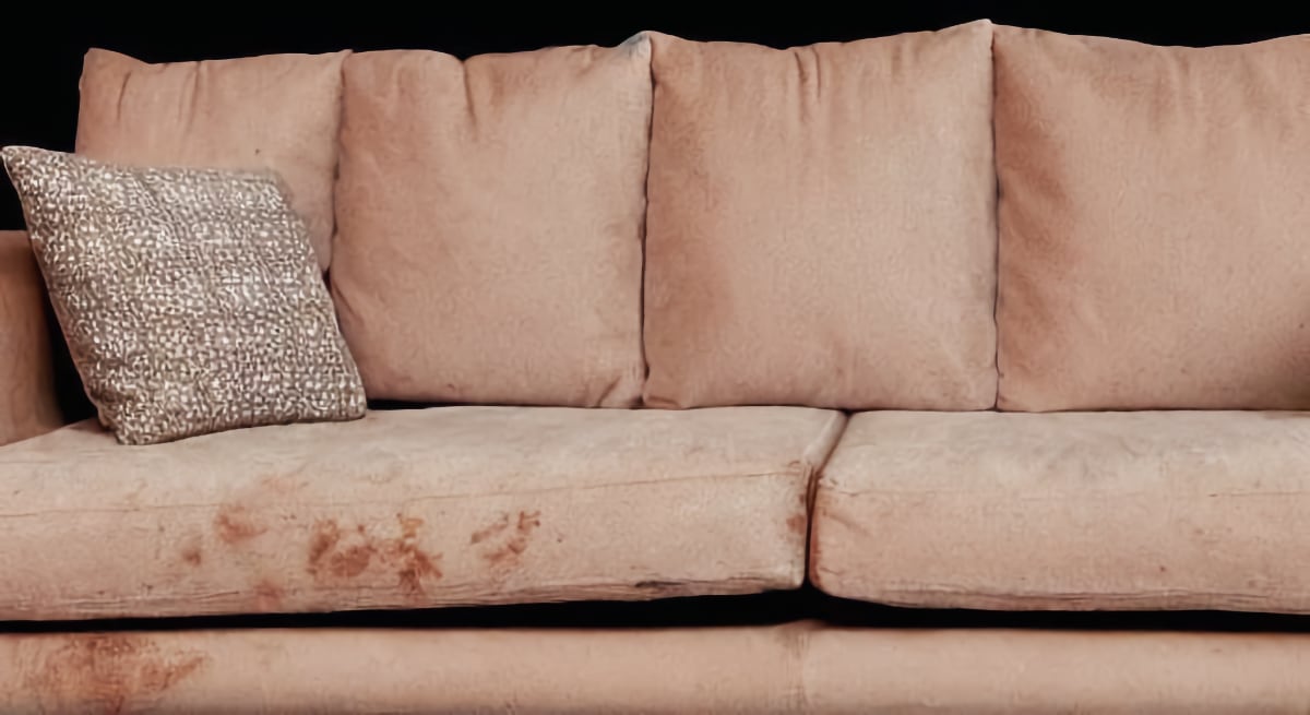 How do you use a carpet cleaner on a couch