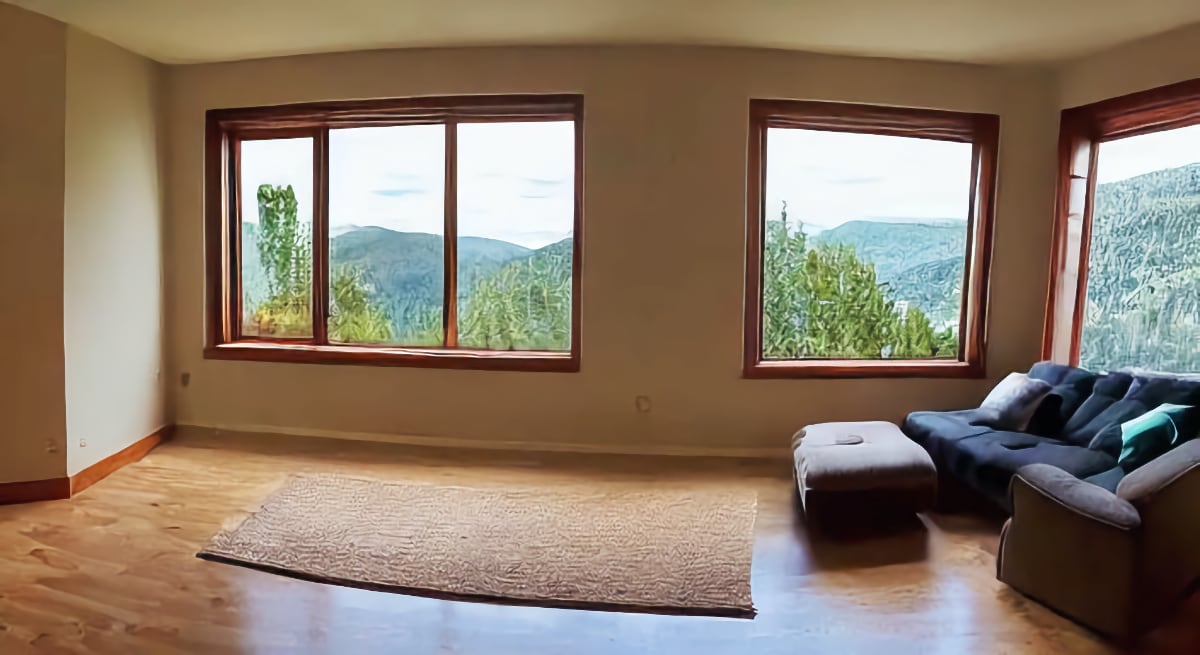 What to Put in Front of Your Living Room Window