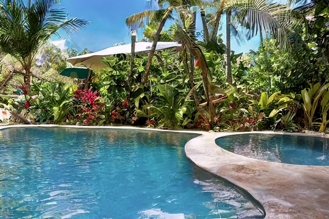 Pool Surrounded by Tropical Plants